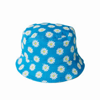 Blue Daisy