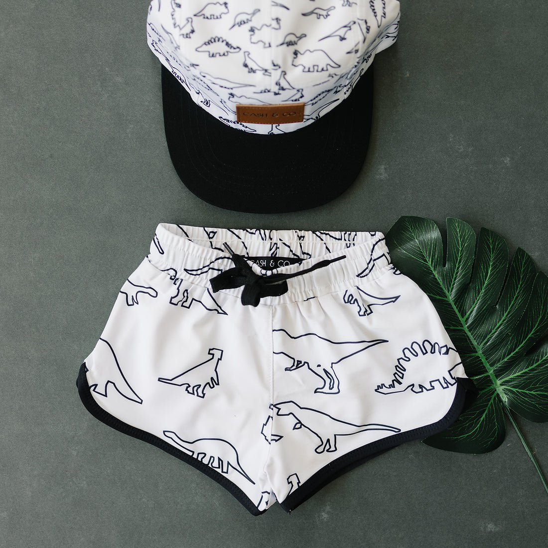 Rex Boardies